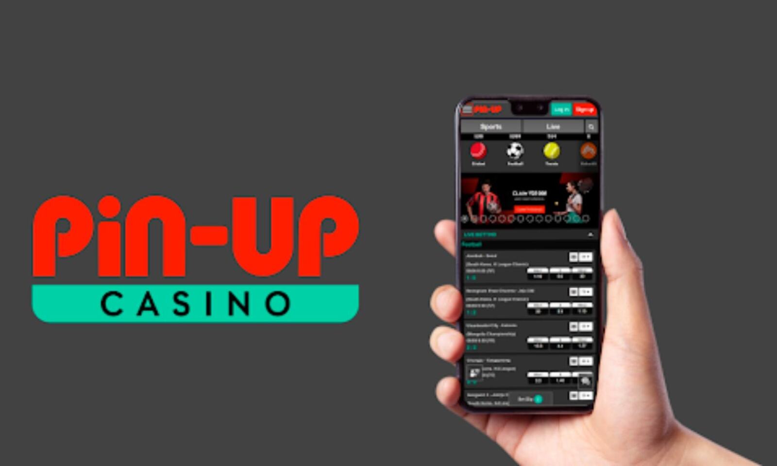 Pin Up Casino Official Website